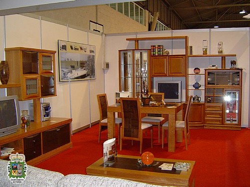 IMAGEN DE MUEBLES DE LA MUESTRA DE LA MADERA